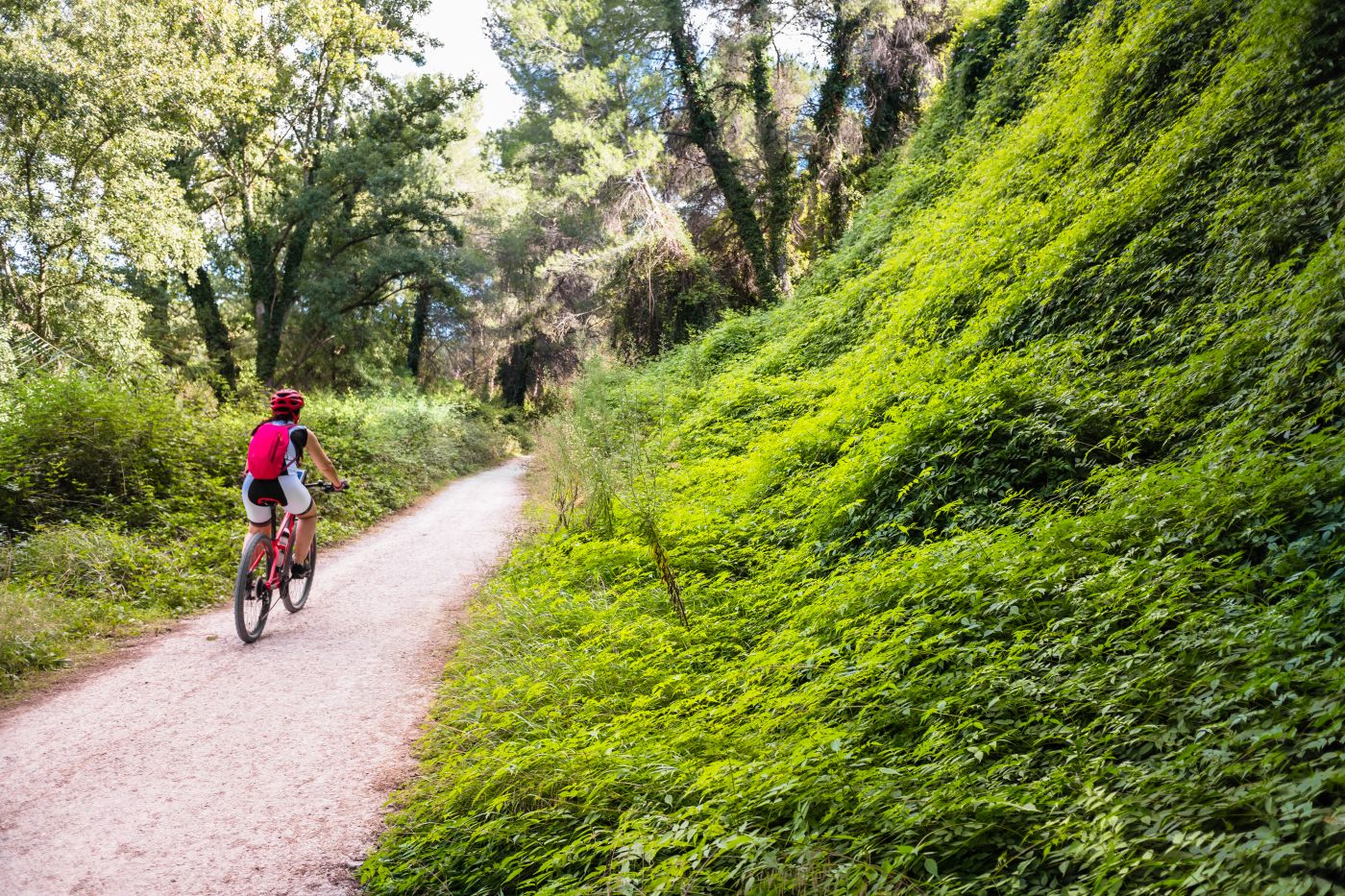 Vélo dans le parc volcanique de la Garrotxa